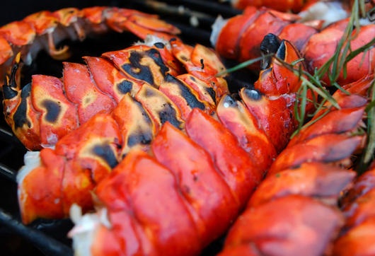 Indulgent Lobster Tails With Lemon Garlic And Parsley Butter Thefoodsnobuk
